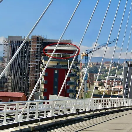 Calatrava Bridge *